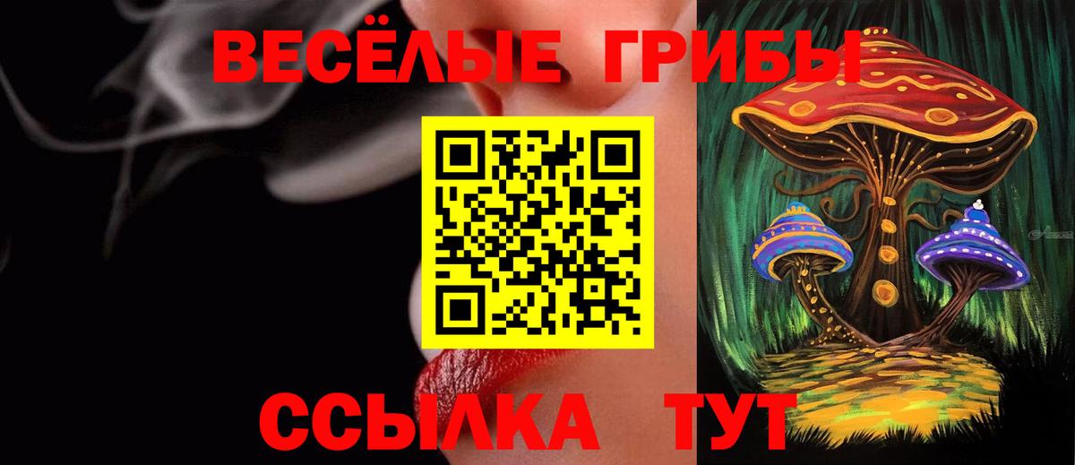 Алексеевка  Псилоцибиновые грибы Psilocybe  Вход с VPN  Галлюциногенные грибы прущие грибы 